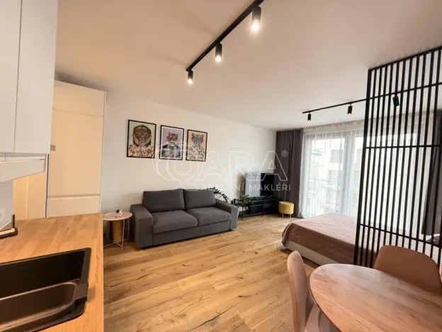 Pronájem bytu 1+kk, Praha - Karlín, Křižíkova, 33 m2