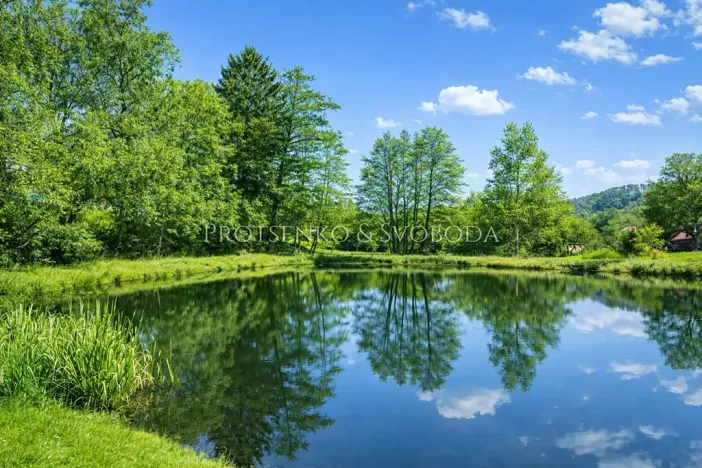 Prodej rodinného domu, Ždírec nad Doubravou, 290 m2