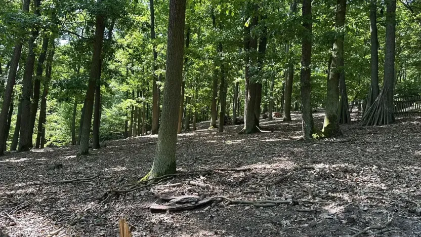 Prodej chaty, Štěchovice, 150 m2