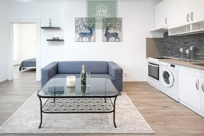 Pronájem bytu 2+kk, Plzeň, Guldenerova, 43 m2