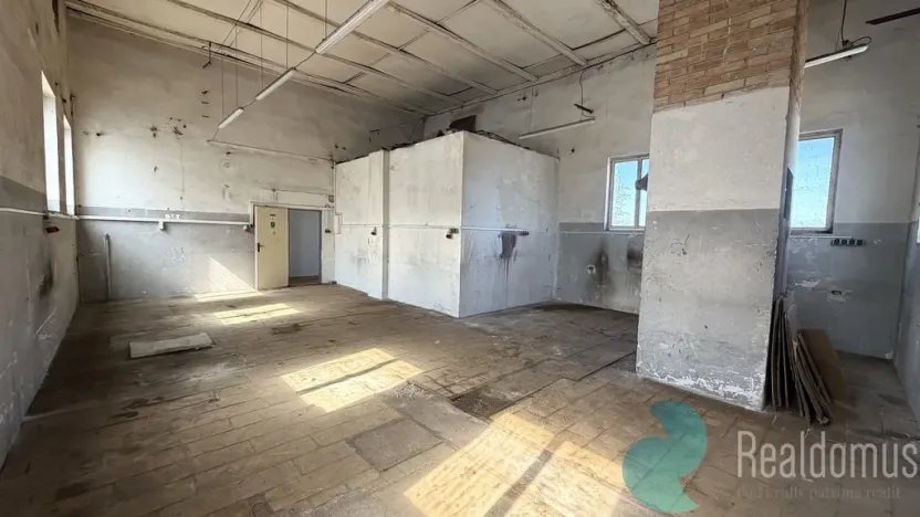 Pronájem komerční nemovitosti, Kamenný Újezd, 100 m2