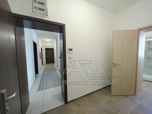 Pronájem bytu 1+kk, České Budějovice, Fráni Šrámka, 40 m2