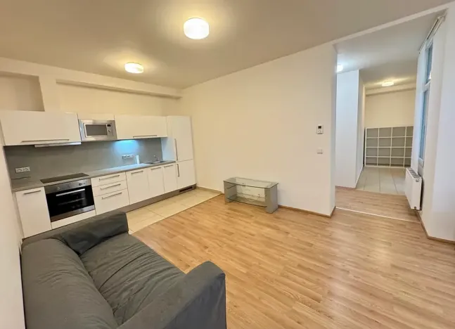 Pronájem bytu 2+kk, Brno, Úvoz, 57 m2