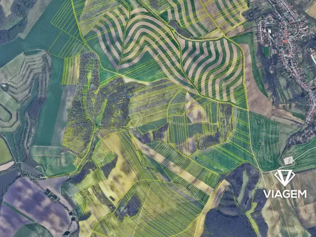 Prodej lesa, Bošovice, 3277 m2