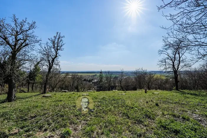 Prodej rodinného domu, Střemy, 100 m2