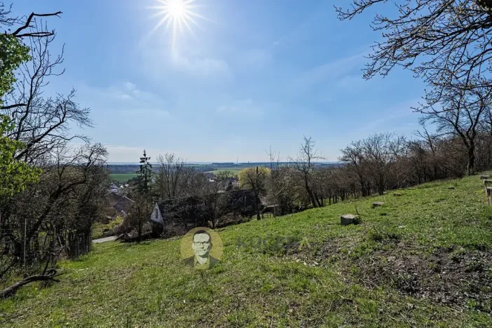 Prodej rodinného domu, Střemy, 100 m2
