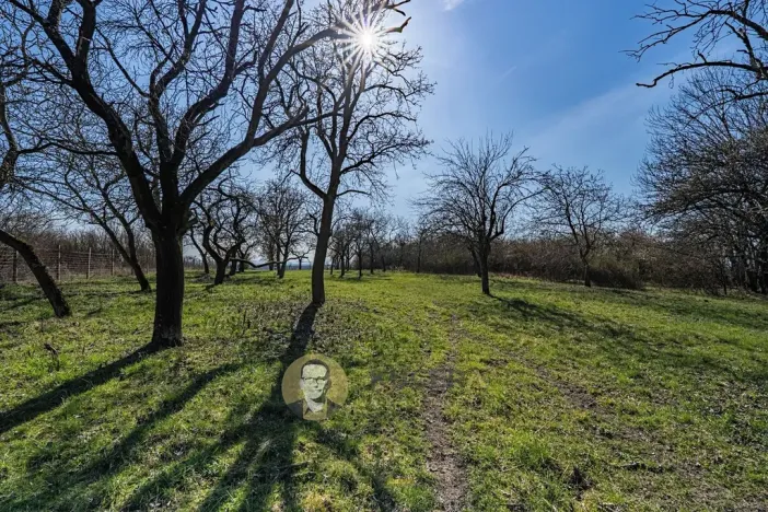 Prodej rodinného domu, Střemy, 100 m2