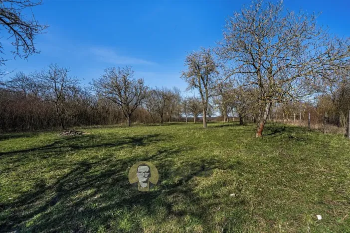 Prodej rodinného domu, Střemy, 100 m2