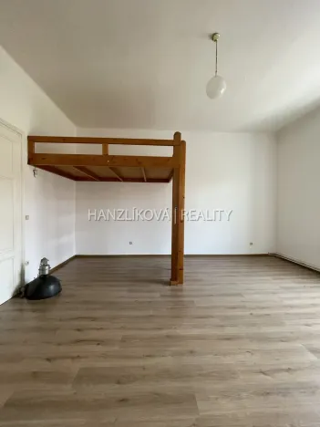 Pronájem bytu 1+1, České Budějovice - České Budějovice 6, Žižkova tř., 49 m2