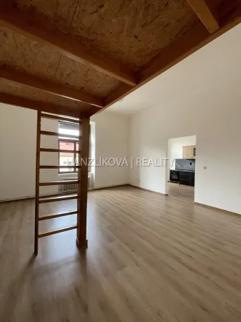 Pronájem bytu 1+1, České Budějovice - České Budějovice 6, Žižkova tř., 49 m2