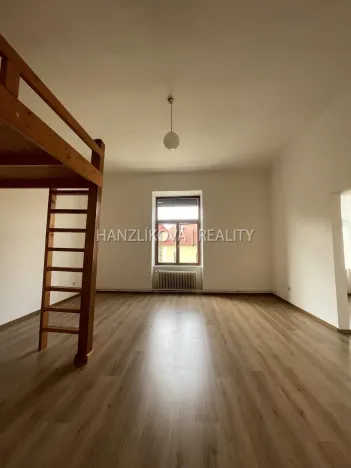 Pronájem bytu 1+1, České Budějovice - České Budějovice 6, Žižkova tř., 49 m2