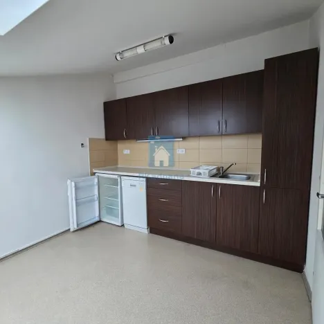 Pronájem kanceláře, Plzeň, Hálkova, 104 m2