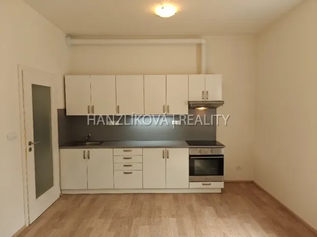 Pronájem bytu 1+kk, České Budějovice - České Budějovice 2, U Lesa, 26 m2