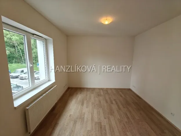 Pronájem bytu 1+kk, České Budějovice - České Budějovice 2, U Lesa, 26 m2