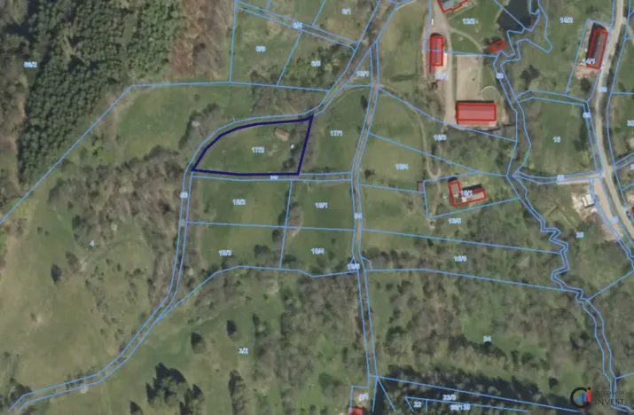 Prodej pozemku pro bydlení, Olešnice v Orlických horách, 3118 m2