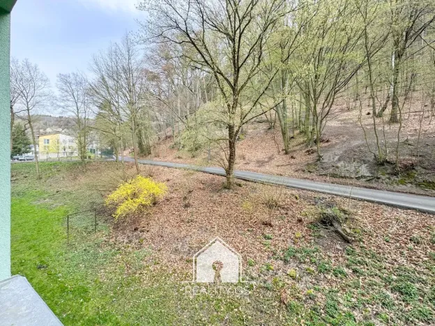 Prodej bytu 3+1, Děčín, Pod Vrchem, 78 m2