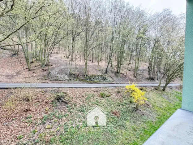 Prodej bytu 3+1, Děčín, Pod Vrchem, 78 m2