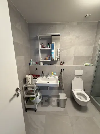 Pronájem bytu 2+kk, Praha - Holešovice, Jankovcova, 63 m2