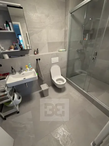 Pronájem bytu 2+kk, Praha - Holešovice, Jankovcova, 63 m2