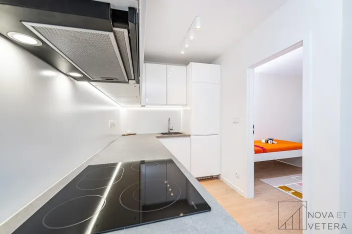 Prodej bytu 4+kk, Praha - Žižkov, Pod lipami, 74 m2
