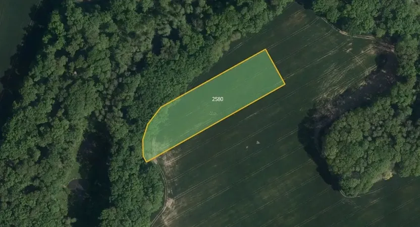 Prodej pole, Ronov nad Doubravou, 26987 m2