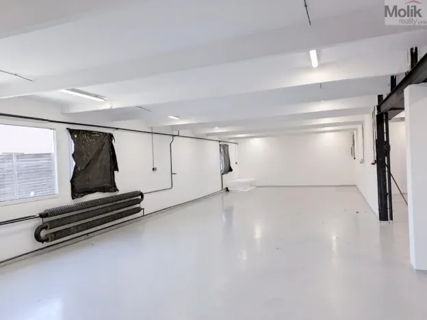 Pronájem skladu, Ledvice, Mírová, 198 m2