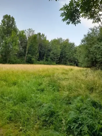 Pronájem pole, Kopřivnice, 510 m2