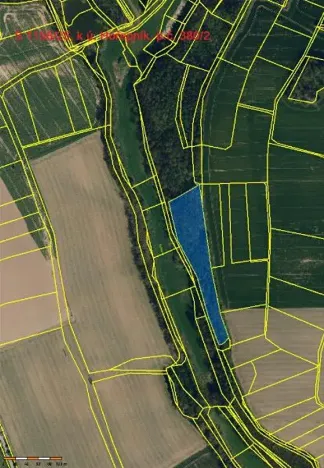 Prodej lesa, Hořepník, 9539 m2