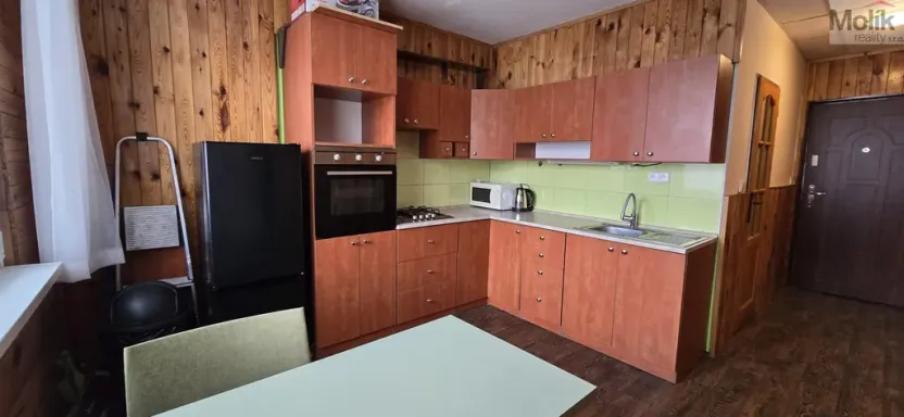 Pronájem bytu 1+1, Litvínov - Horní Litvínov, Tylova, 37 m2