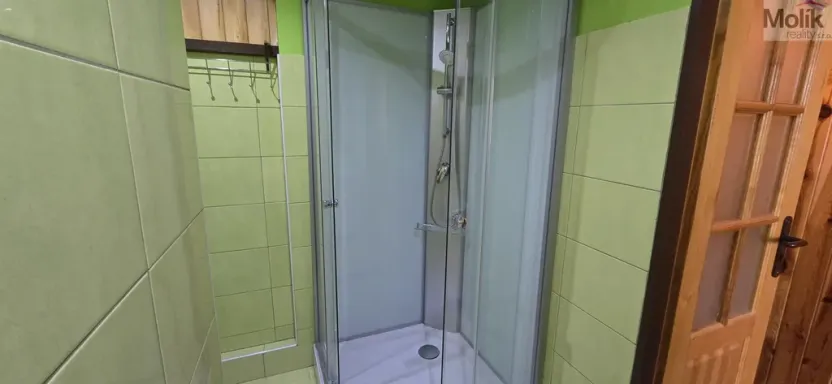 Pronájem bytu 1+1, Litvínov - Horní Litvínov, Tylova, 37 m2