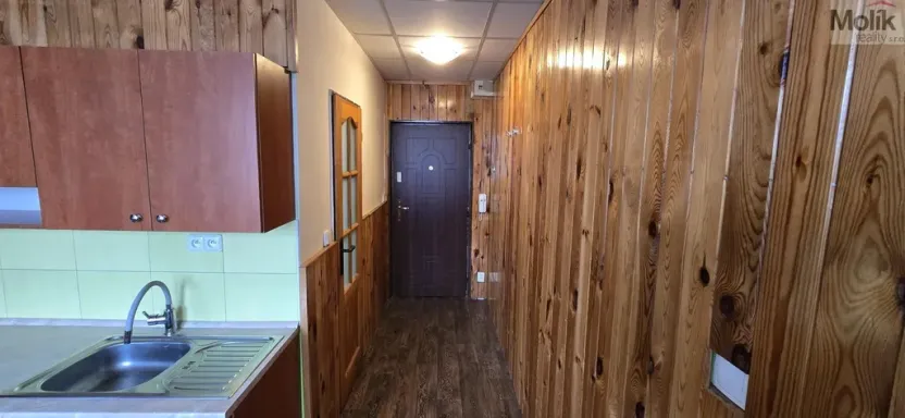 Pronájem bytu 1+1, Litvínov - Horní Litvínov, Tylova, 37 m2