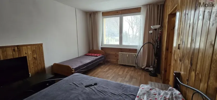 Pronájem bytu 1+1, Litvínov - Horní Litvínov, Tylova, 37 m2