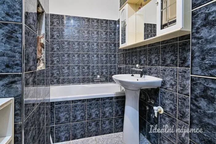 Pronájem bytu 2+1, Brno - Ponava, Botanická, 54 m2