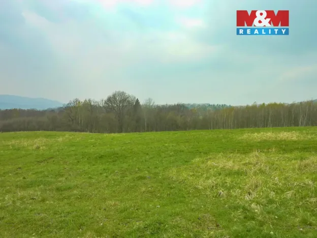 Prodej louky, Stružnice, 55278 m2