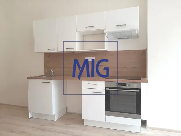 Pronájem bytu 1+kk, Rosice, Sportovní, 41 m2