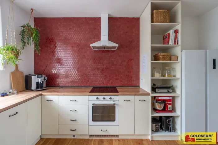 Prodej rodinného domu, Dlouhá Loučka - Křivá, 298 m2