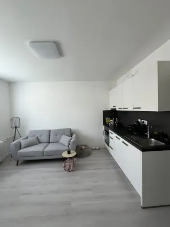 Pronájem bytu 1+1, Františkovy Lázně, Anglická, 37 m2