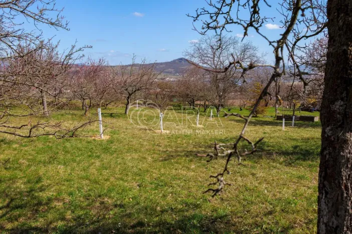 Prodej zahrady, Lhotka nad Labem, 1403 m2