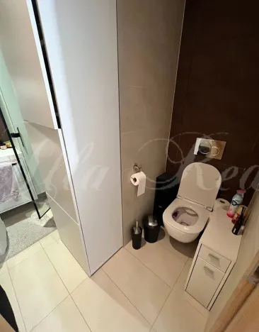 Pronájem bytu 1+kk, Brno - Medlánky, Palackého třída, 33 m2