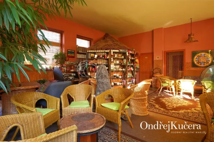 Prodej činžovního domu, Kladno, Osvoboz. pol. vězňů, 1000 m2