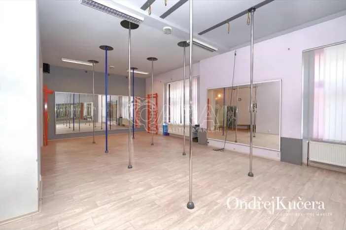 Prodej činžovního domu, Kladno, Osvoboz. pol. vězňů, 1000 m2