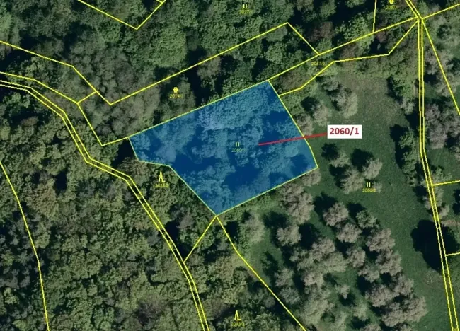 Dražba louky, Slopné, 2555 m2