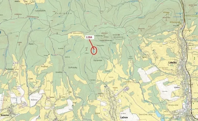 Dražba lesa, Lačnov, 3805 m2