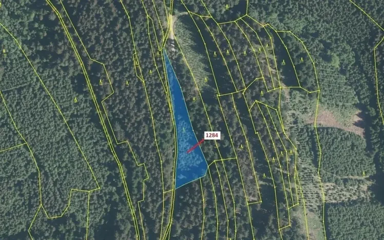 Dražba lesa, Lačnov, 3805 m2