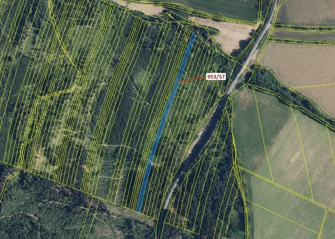 Dražba lesa, Nová Hradečná, 6750 m2