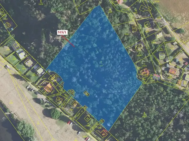 Dražba lesa, Sýkořice, 10228 m2