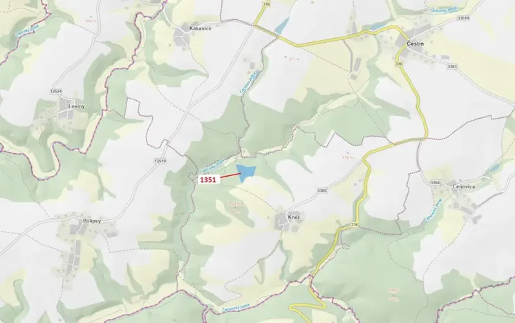 Dražba lesa, Čestín, 22508 m2