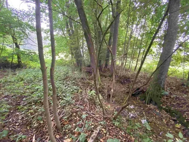 Dražba pozemku, Helvíkovice, 1994 m2