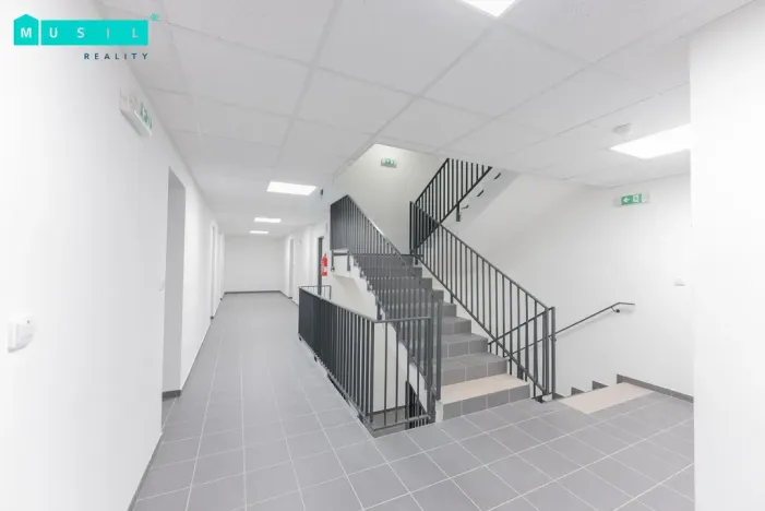 Pronájem bytu 2+kk, Olomouc - Nové Sady, Věry Pánkové, 70 m2