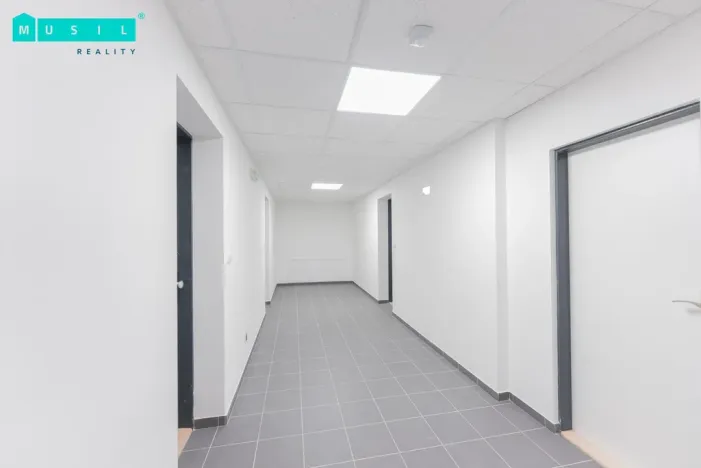 Pronájem bytu 2+kk, Olomouc - Nové Sady, Věry Pánkové, 70 m2